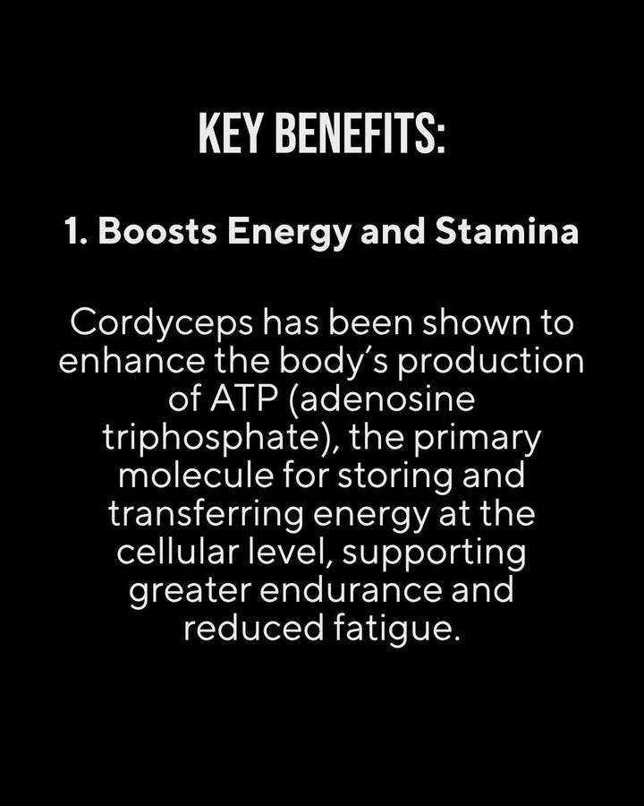 Fireside Brew Co. Cordyceps