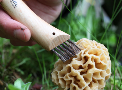 Opinel Mushroom Foraging Knife + Sheath Gift Set