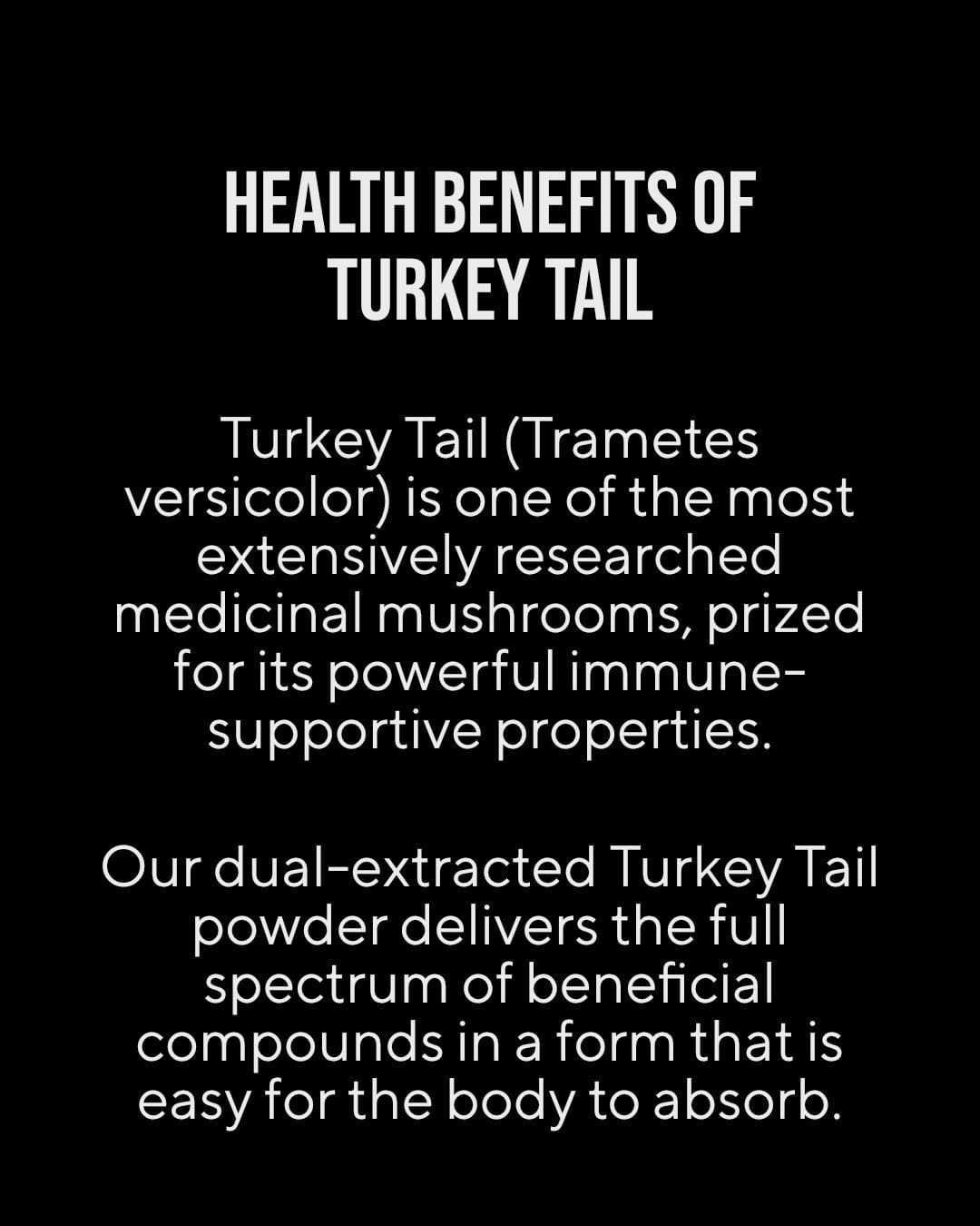 Fireside Brew Co. Turkey Tail