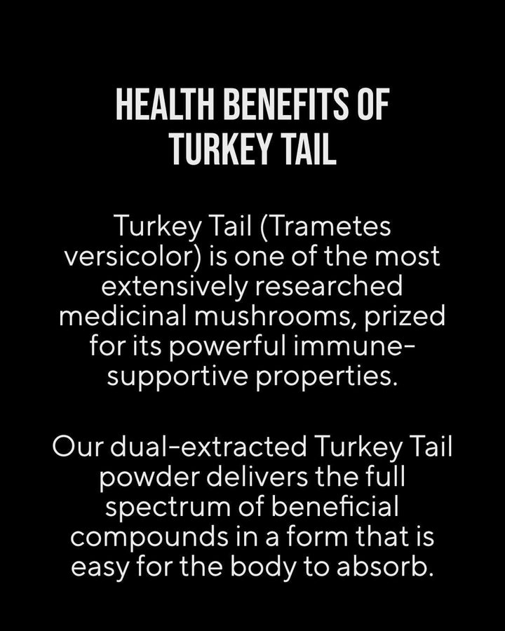 Fireside Brew Co. Turkey Tail
